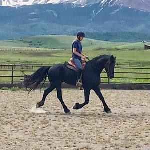 Meet your Posher, Anne